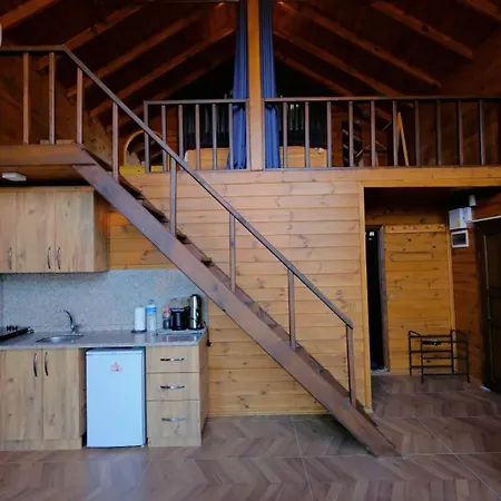 Woodlodge Country Hotell 3*